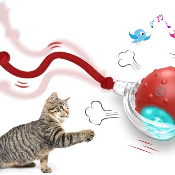 Interactive Cat Toys Ball, Automatic Cat Interactive Toy for Indoor Cats